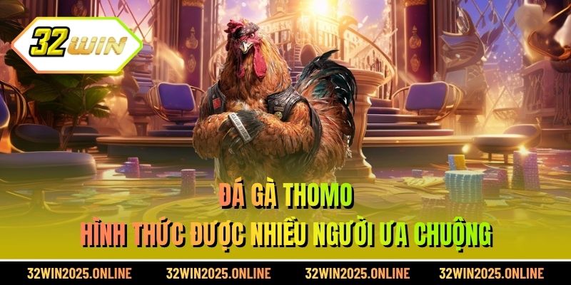 Đá gà Thomo - Hình thức được nhiều người ưa chuộng